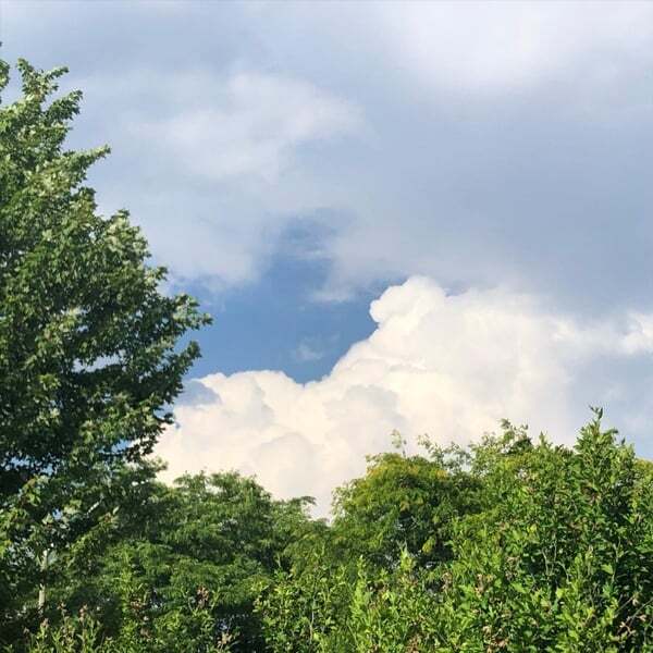 Cover art for Music to Inspire